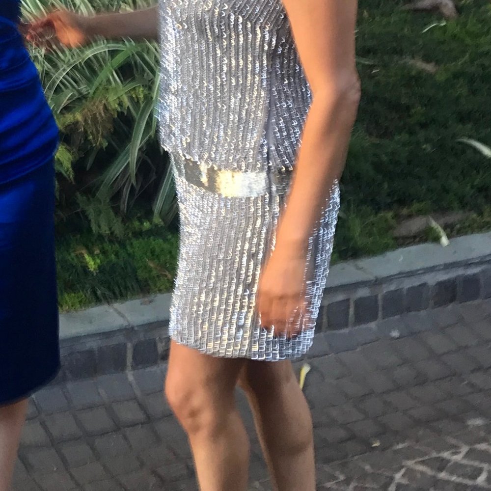 Adrienne Papell Silver Beaded Sequin 1920s Inspired Cocktail Dress Sz 4 - Picture 4 of 12
